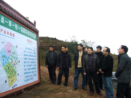 宜賓復(fù)龍:“桑草牧沼”巧循環(huán)每畝增收3000元