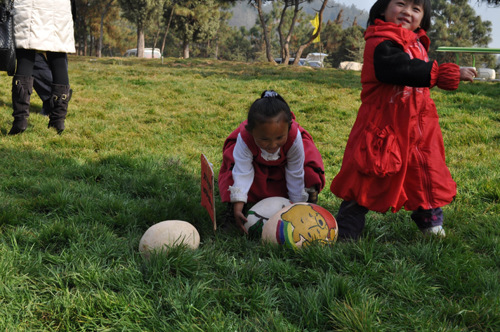 元旦三天假 云南野生動物園奇珍你拿