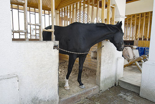 深圳“海上皇宮”面臨拆除 超奢華內(nèi)景曝光