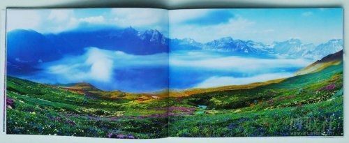 中國攝影金像獎(jiǎng)涉嫌剽竊得主遭免職