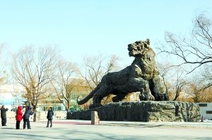 國內(nèi)最大銅雕老虎將落戶北京動物園