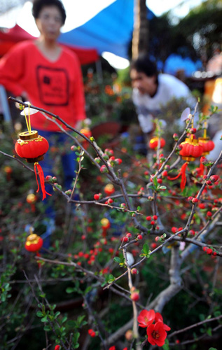 ?？谟夯ㄊ泄?jié)前俏