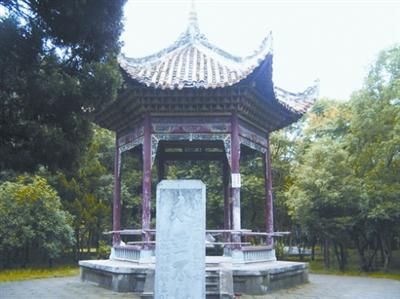 湖北荊門240畝烈士公園變身網(wǎng)球公園(圖)