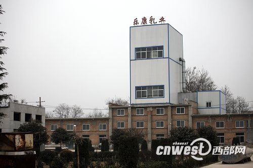 陜西毒奶粉案3人被捕 企業(yè)私用2008年過期乳粉