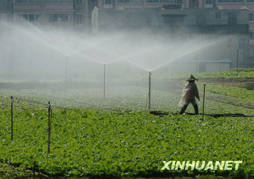 都市田園春色濃