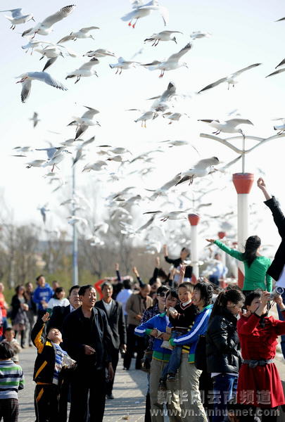 春節(jié)黃金周云南共接待游客520多萬(wàn)人次