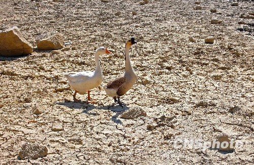 中國15省區(qū)遭遇干旱侵襲 云貴川藏青5省重旱