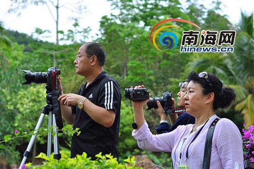 學者建議：建立世界級海南熱帶雨林國家公園