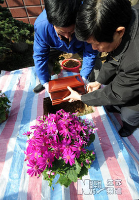 南京推出生態(tài)景觀葬