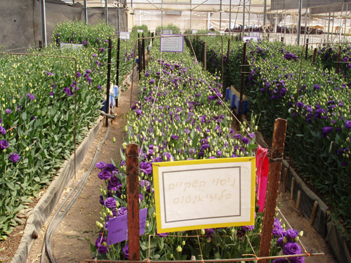 嚴(yán)重旱情呼喚節(jié)水 發(fā)展節(jié)水農(nóng)業(yè)迫在眉睫