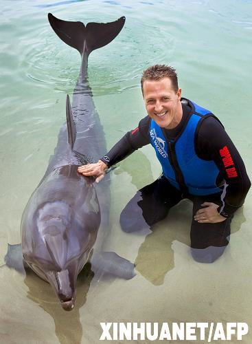 舒馬赫“戲”海豚