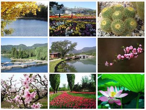 北京十大最怡人踏青出游地推薦(圖)