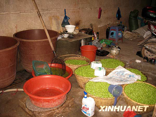 湖南衡陽發(fā)現(xiàn)并銷毀“染色豆”