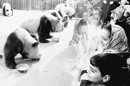 世博大熊貓“喜迎”國(guó)際友人