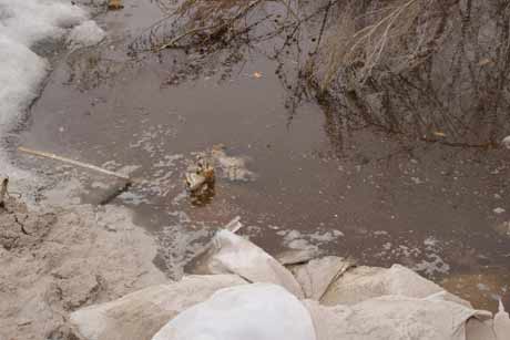 哈爾濱北方森林動(dòng)物園園長(zhǎng)回應(yīng)動(dòng)物生存狀況問題