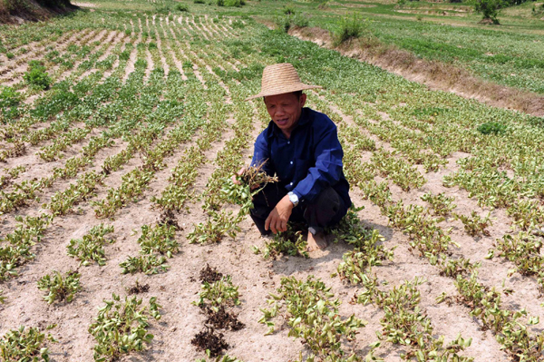 海南旱情持續(xù)蔓延
