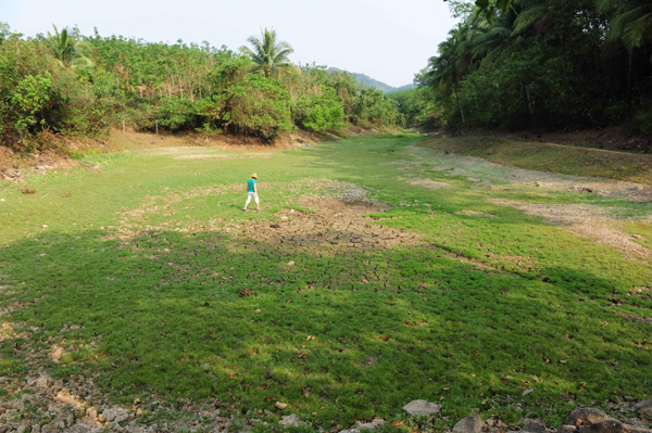 海南旱情持續(xù)蔓延