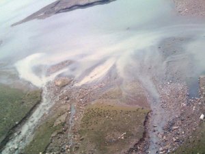 南濱路段江水怎么“五顏六色”的？