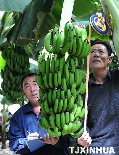 天津推廣新型物理農(nóng)業(yè)技術(shù)