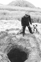 公安機(jī)關(guān)打擊盜墓犯罪尚顯被動 現(xiàn)場抓捕難