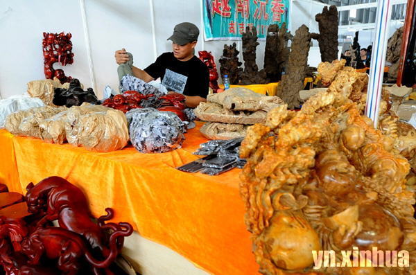 云南辦茶博會力促“云茶”外銷