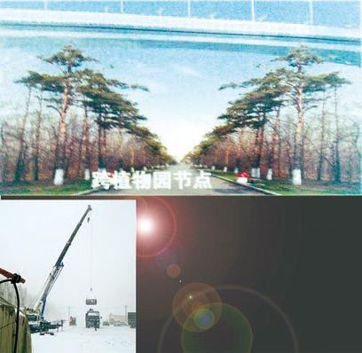 哈爾濱無(wú)視省級(jí)法律 強(qiáng)建高架橋跨越植物園