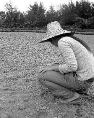 廣東最窮村落后全國30年 三百人學(xué)校無廁所(圖)