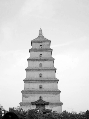 5國聯(lián)合絲路申遺 云南招募民間大使