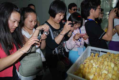 第九屆網(wǎng)上看河南“南線采風(fēng)團(tuán)”走進(jìn)潢川