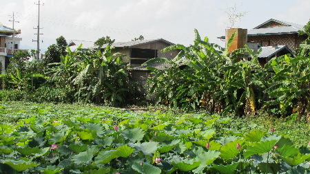 云南瑞麗邊境:一秋千蕩兩國(guó)