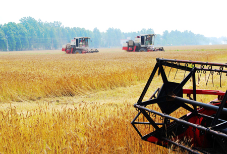 河南潢川：“農(nóng)民專業(yè)合作社”助長(zhǎng)農(nóng)民增收