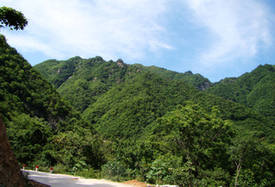 河南西峽：天然氧吧老君洞 風(fēng)景秀麗野人谷(圖)