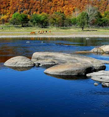 首屆中國•黑龍江鶴崗國際界江旅游節(jié)即將隆重開幕