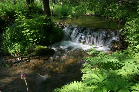 首屆中國•黑龍江鶴崗國際界江旅游節(jié)即將隆重開幕