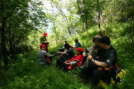 端午小長假助推神農(nóng)架旅游熱潮