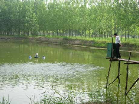 民權縣王橋鄉(xiāng):新思路帶動經(jīng)濟整體“快跑”