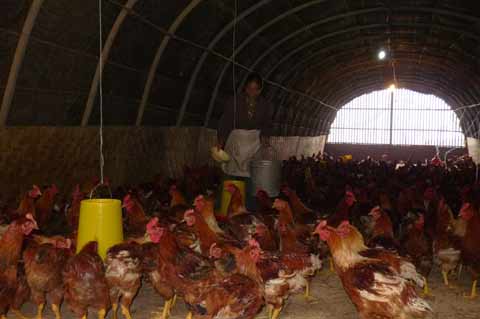 黃家村：“通路，通思路”