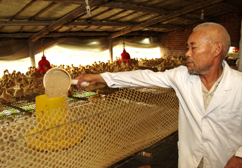 探尋河南平輿科學(xué)發(fā)展的“平輿經(jīng)驗(yàn)”