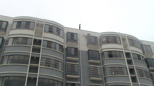 信陽少女感情受挫六樓欲輕生 玩伴勸解終獲救