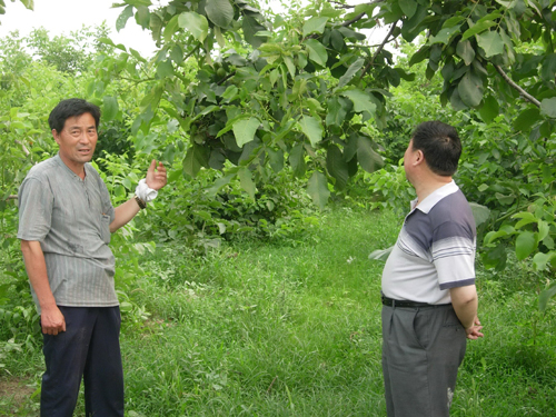 河南永城一村支書帶領村民大干七年走上富裕路