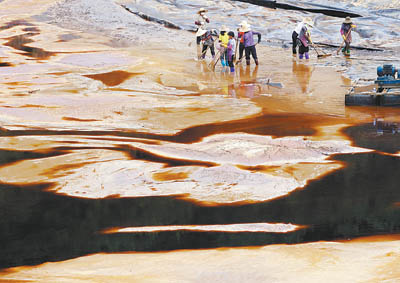 紫金礦業(yè)高管談信息披露：稱為維穩(wěn)選擇違規(guī)(圖)