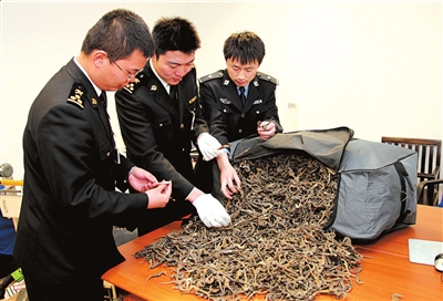 首都機(jī)場(chǎng)海關(guān)截獲上百公斤非法入境干海馬