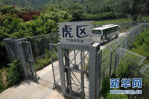 西安動物園老虎咬死游客事件猛獸區(qū)管理員被批捕