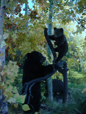 第四屆網(wǎng)媒龍江行：富錦的濕地文化