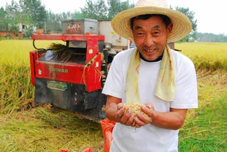 河南潢川秋收開鐮(圖)