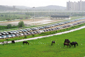 南京十運(yùn)會賽馬場年虧損千萬成停車場(圖)