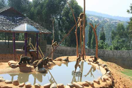 云南野生動(dòng)物園為動(dòng)物過中秋