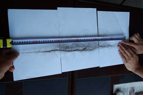 中國重啟野人科考項目 專家稱可能是徒勞