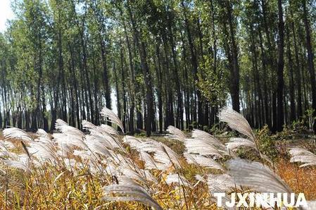 天津大力保護(hù)“京津之肺”