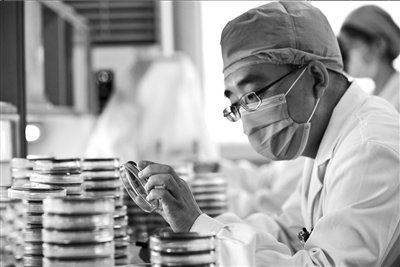 抗生素濫用調(diào)查：被視為萬能藥 占醫(yī)療費(fèi)五成